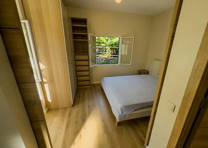 Levada Dreamscape - Funchal (Madeira)