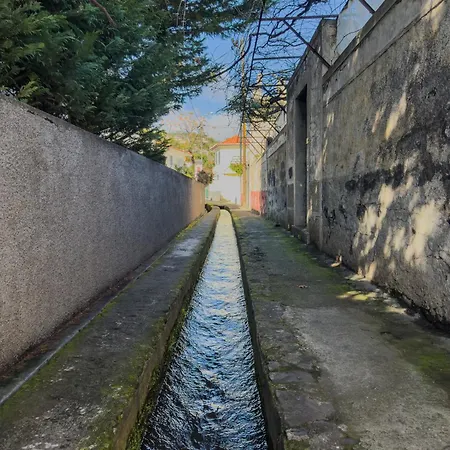 Levada Dreamscape - Funchal (Madeira)