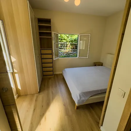 Levada Dreamscape - Funchal (Madeira)