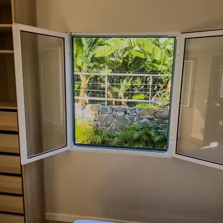 Levada Dreamscape - *