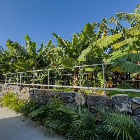 Levada Dreamscape - Villa Funchal (Madeira)