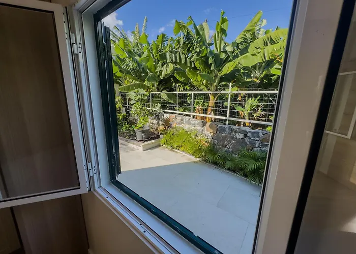 Levada Dreamscape - *