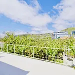Levada Dreamscape - *