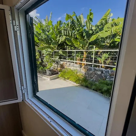 Levada Dreamscape - *