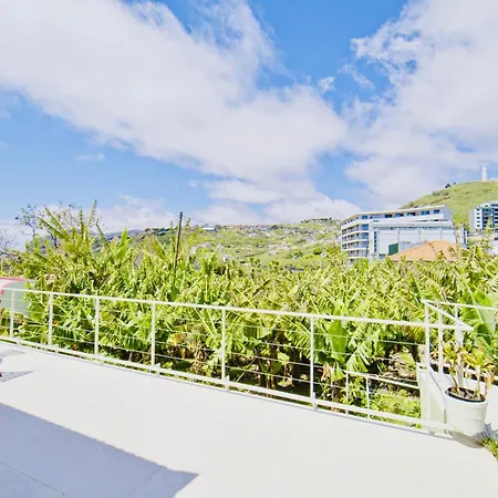 Levada Dreamscape - *