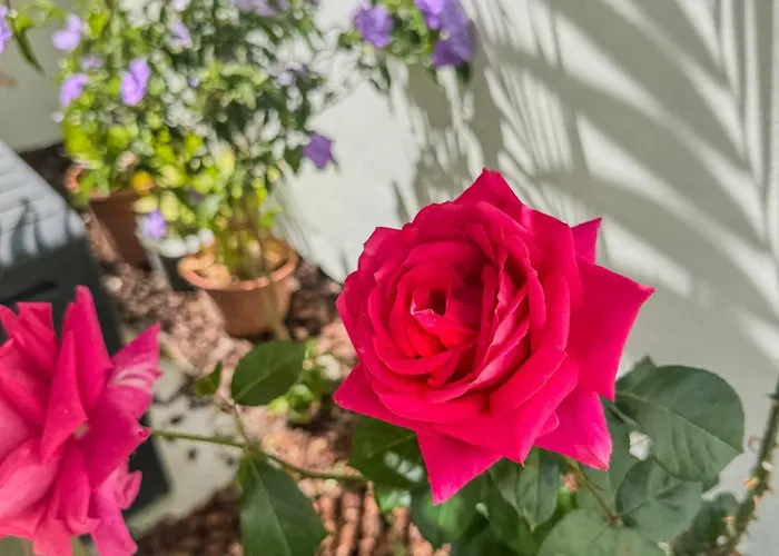 Levada Dreamscape - Вилла