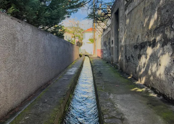 Levada Dreamscape - Funchal (Madeira)