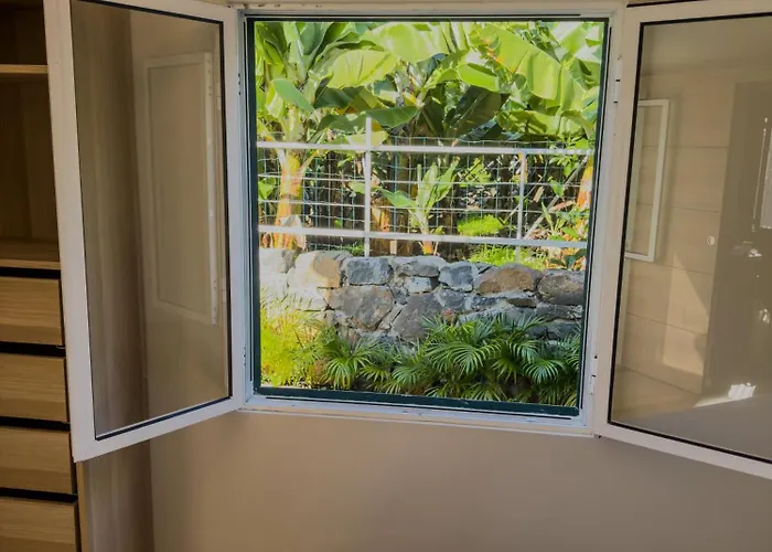 Levada Dreamscape - *