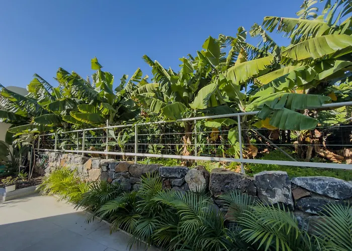 Levada Dreamscape - Villa Funchal (Madeira)